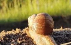 Konkurs fotograficzny &bdquo;Uchwyć Szczęście&rdquo; 12.03.2026 r. 2