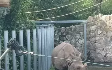 Wycieczka do Wrocławia 1-12.09.2025 r. 5