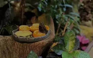 Wycieczka do Wrocławia 1-12.09.2025 r. 6