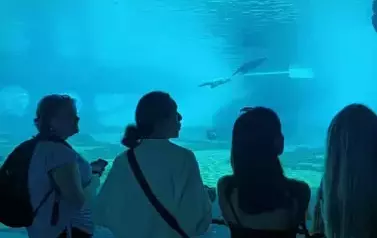 Wycieczka do Wrocławia 1-12.09.2025 r. 8