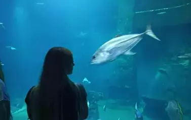 Wycieczka do Wrocławia 1-12.09.2025 r. 10