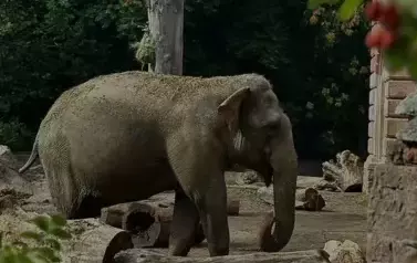 Wycieczka do Wrocławia 1-12.09.2025 r. 11