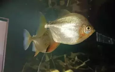 Wycieczka do Wrocławia 1-12.09.2025 r. 17