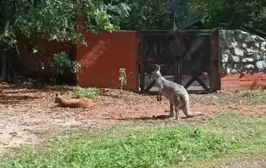 Wycieczka do Wrocławia 1-12.09.2025 r. 19