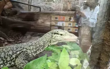 Wycieczka do Wrocławia 1-12.09.2025 r. 20