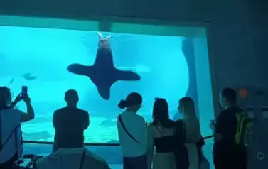 Wycieczka do Wrocławia 1-12.09.2025 r. 21