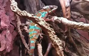 Wycieczka do Wrocławia 1-12.09.2025 r. 22