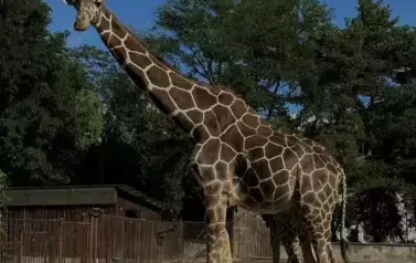 Wycieczka do Wrocławia 1-12.09.2025 r. 23