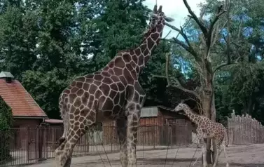 Wycieczka do Wrocławia 1-12.09.2025 r. 27