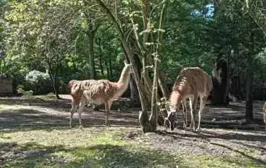 Wycieczka do Wrocławia 1-12.09.2025 r. 29