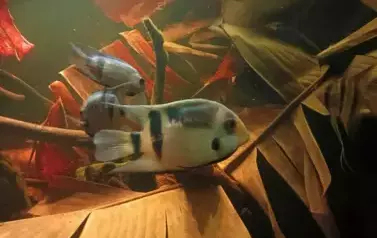 Wycieczka do Wrocławia 1-12.09.2025 r. 31