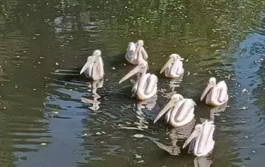 Wycieczka do Wrocławia 1-12.09.2025 r. 33