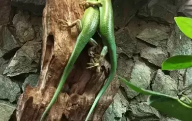 Wycieczka do Wrocławia 1-12.09.2025 r. 35