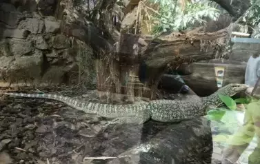 Wycieczka do Wrocławia 1-12.09.2025 r. 37