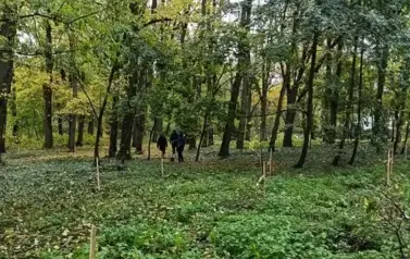 Sadzenie lasu 30.10.2025 r. 20