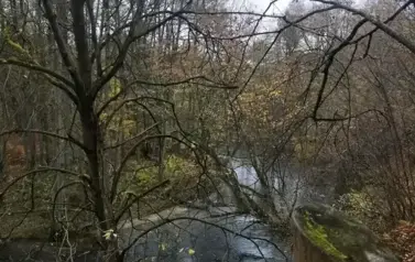 578270487_1309671274298099_5517687248771171944_n