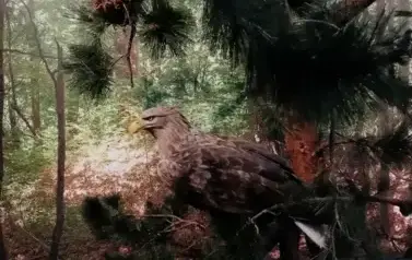 578262154_1309671304298096_2682007787264190015_n