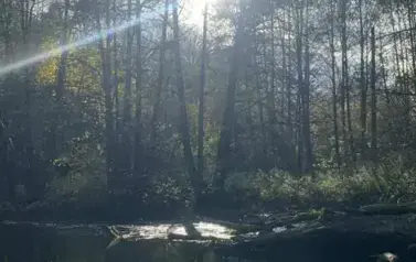 578250600_1309671880964705_3958803574905485748_n