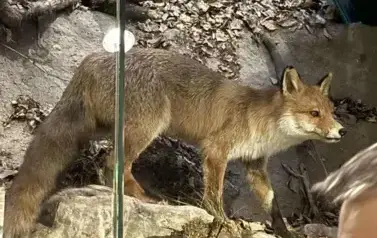 577330093_1309681917630368_5683364717783703148_n