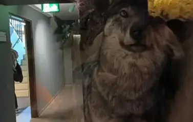 576935697_1309671134298113_4398546813008530634_n