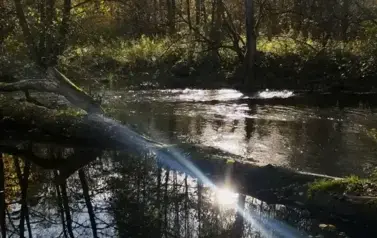 576872302_1309672164298010_4296926163716714259_n