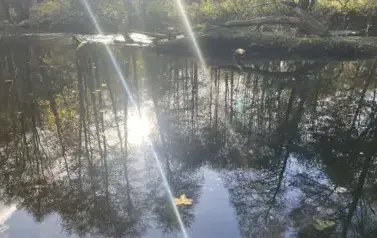 575182016_1309671914298035_5794780439165815499_n