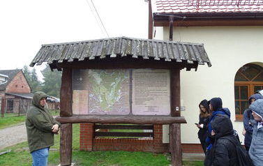 Drawieński Park Narodowy w deszczu 1