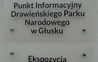 Drawieński Park Narodowy w deszczu 5