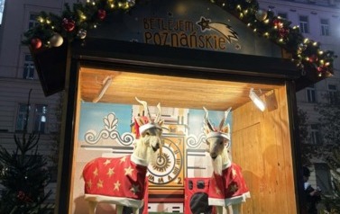 Wycieczka do Poznania 17.12.2025 r. 8