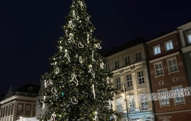 Wycieczka do Poznania 17.12.2025 r. 21