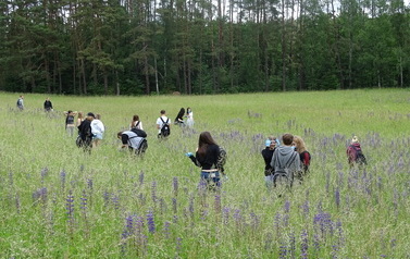 Dzień zwalczania IGO (inwazyjnych gatunk&oacute;w obcych) 08.06.2026 r. 14
