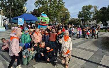 Rady na odpady &ndash; Postaw na OZE 15.10.2026 r. 3