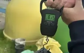 Akcja &bdquo;Sprzątanie Świata&rdquo; 26.09.2025 r. 1