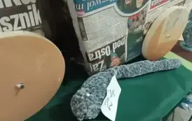 Konkurs ekologiczny &bdquo;Drugie życie rzeczy&rdquo; 17.10.2021 r. 17