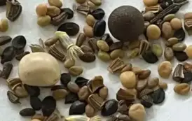 Warsztaty &bdquo;Łąki kwietne...&rdquo; 24.10.2025 r. 10