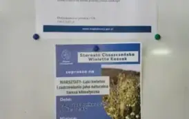 Warsztaty &bdquo;Łąki kwietne...&rdquo; 24.10.2025 r. 11