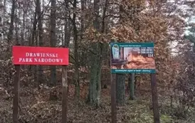 578243602_1309672020964691_3923091010280093646_n