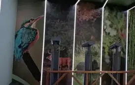 578243477_1309671070964786_2164756938206988780_n