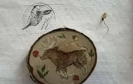 577773790_1309682240963669_5879855863015547732_n