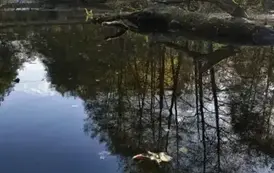 577755272_1309672390964654_917411498477726616_n