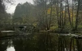 576879115_1309671050964788_1773558943903579457_n