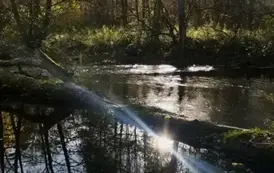 576872302_1309672164298010_4296926163716714259_n