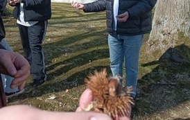 Dzień Otwarty Zachodniopomorskiego Uniwersytetu Technologicznego 19.03.2026 r. 2