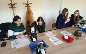 Dzień Otwarty Zachodniopomorskiego Uniwersytetu Technologicznego 19.03.2026 r. 17