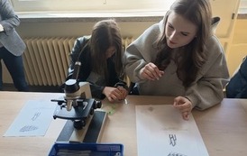 Dzień Otwarty Zachodniopomorskiego Uniwersytetu Technologicznego 19.03.2026 r. 22