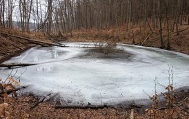 Badania terenowe w Drawieńskim PArku Narodowym 20.03.2026 r. 3
