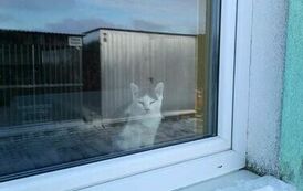 wizyta w schronisku 1