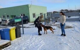 wizyta w schronisku 10