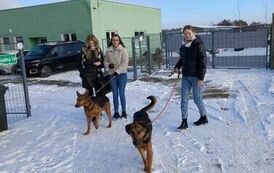 wizyta w schronisku 12