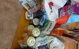 wizyta w schronisku 16